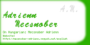 adrienn mecsnober business card